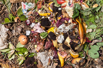 top view of organic waste. Bio-waste with pieces of eggs, onions and others fruits in decomposition.