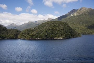 Fototapeta na wymiar Lush vegetation on the slopes of Dusky Sound.