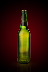 Cold wet beer bottle