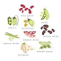 Bean Cultures With Names Set