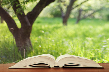 Open book over the landscape background