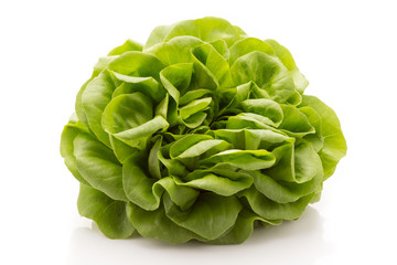 Obraz premium Lettuce.