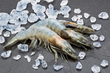 Drei frische Riesengarnelen