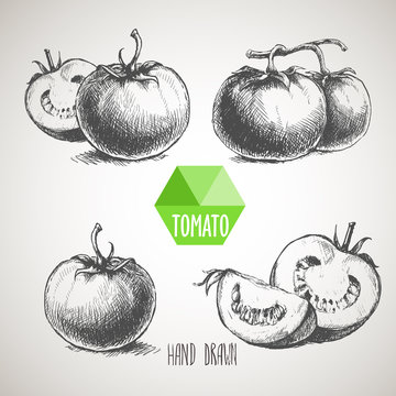 Set of hand drawn tomato. Organic eco food