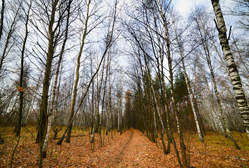 The path stretches into the distance.