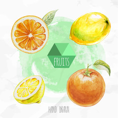 Watercolor hand painted fruit set. Eco food illustration. Watercolor green background. Ripe orange fruit and lemon. Citrus fruits.