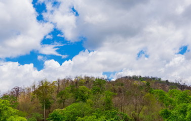 clouds billowing across the mountain and forest in the heat of the summer