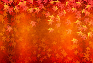 紅葉　秋　風景　背景