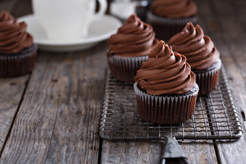 Chocolate cupcakes with whipped ganache