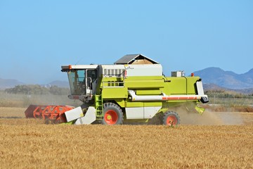 Obraz premium Cosechando cebada