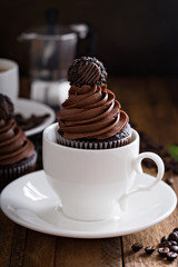Gourmet chocolate cupcakes with a candy on top