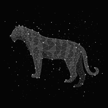 Illustration of constellation forming leopard against black background