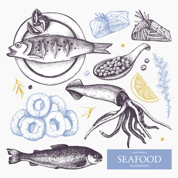 Vector Seafood set. Hand drawn sea food sketch collection - fresh fish, caviar, squid and spice. Vintage fish dishes illustration.