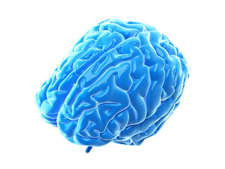 3d rendered, medically accurate illustration of the human brain