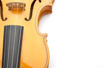 violin on white background