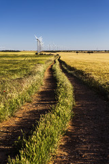 Wind turbines/Wind energy. Castilla-La Mancha, Spain, Europe.