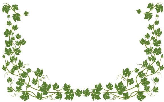 frame with vine leaves