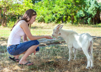 Young girl feeding a small white goat in a grove.