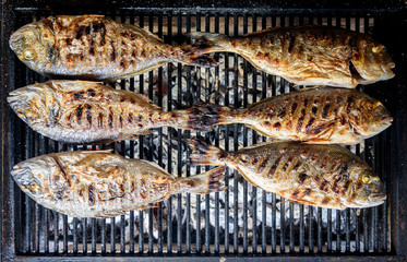 Preparing Fish on the charcoal grill
