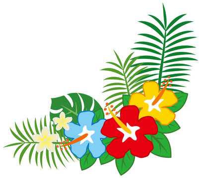 装飾 ヤシの葉 ハイビスカス イラスト Stock ベクター Adobe Stock