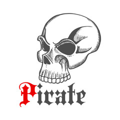 Sketched piracy symbol with old human skull