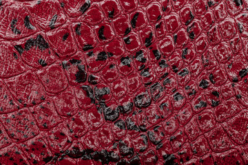 Red leather texture background. Closeup photo. Reptile skin.