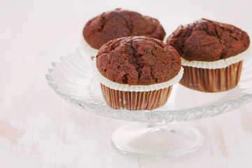 chocolate muffins on dish on white wooden background