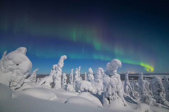 Aurora borealis over snow covered trees, Finland