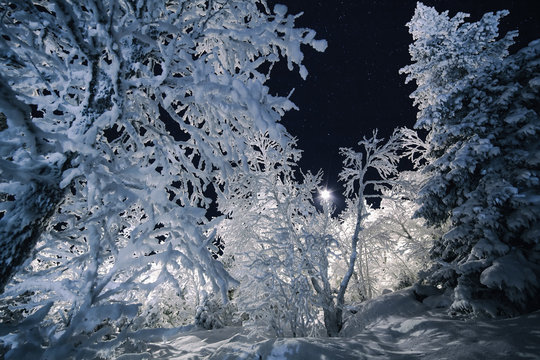 Winter landscape by night
