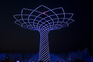 Foto Immagini Grafica Vettoriali E Video Esenti Da