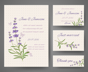 Fototapeta na wymiar Vector templates with lavender bunches