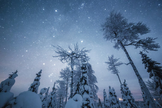 Stars in winter sky, Finland