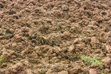 Surface soil tillage.