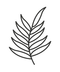 nature leaf  isolated icon design