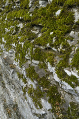 Obraz na płótnie Canvas background texture of stone wall. pavement