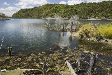 Lake Rotomahana.