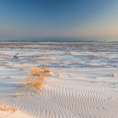beautiful view of the coastal dunes
