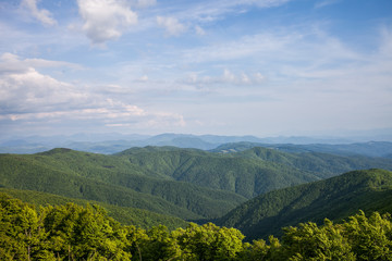 Fototapeta premium Carpathian Mountains