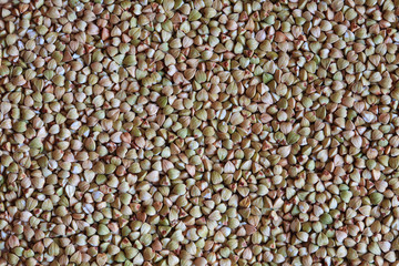 raw buckwheat grains, green buckwheat photo, buckwheat grains, buckwheat background, dry buckwheat, organic buckwheat, green buckwheat