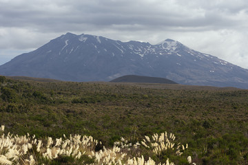 Fototapeta premium The plains in front of Mount Tongariro.