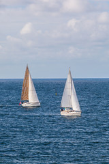 Fototapeta premium Sailing on the sea in summer