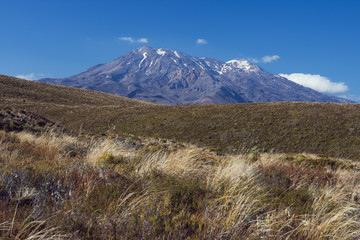 Mount Tongariro seen from the Park entrance.