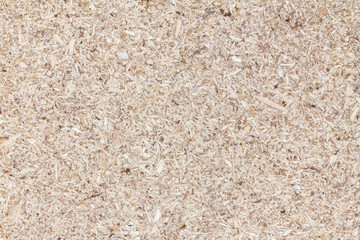 Closeup natural plywood texture background for design with copy space for text or image.