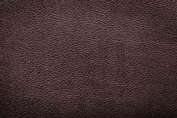 Closeup brown leather texture for design. Leather background with copy space for text or image.