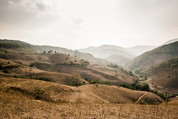 Mountain destroyed by human for cultivate plants.