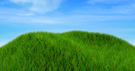 Obraz na płótnie Canvas 3D render of a grass landscape against a cloudy blue sky