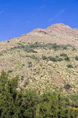 San Alfonso valley, Trail in the  Mountain