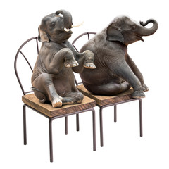 Elephant sitting on chair