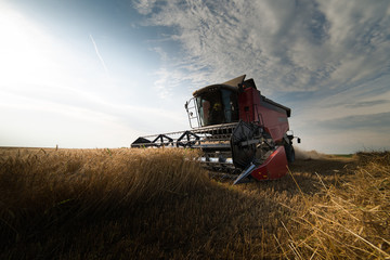 Harvesting of soy bean field