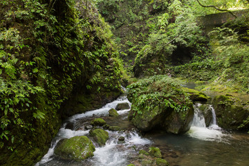 Obraz premium 愛媛県西予市 桂川渓谷